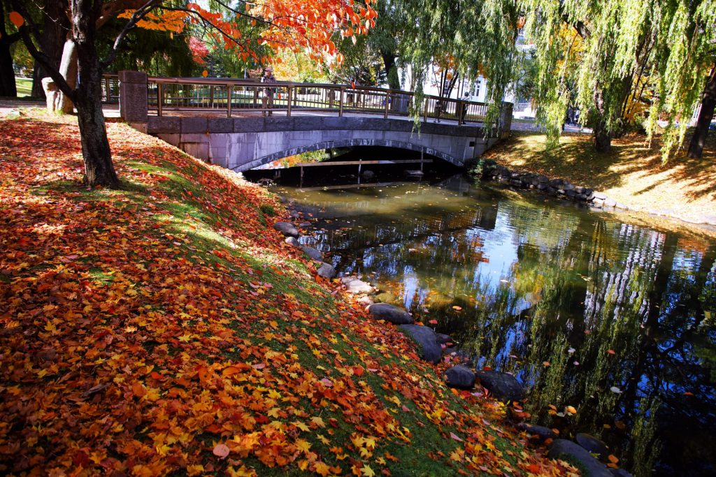 中島公園の紅葉見頃は10月中旬～11月初旬「菖蒲池周り」の紅葉が素敵
