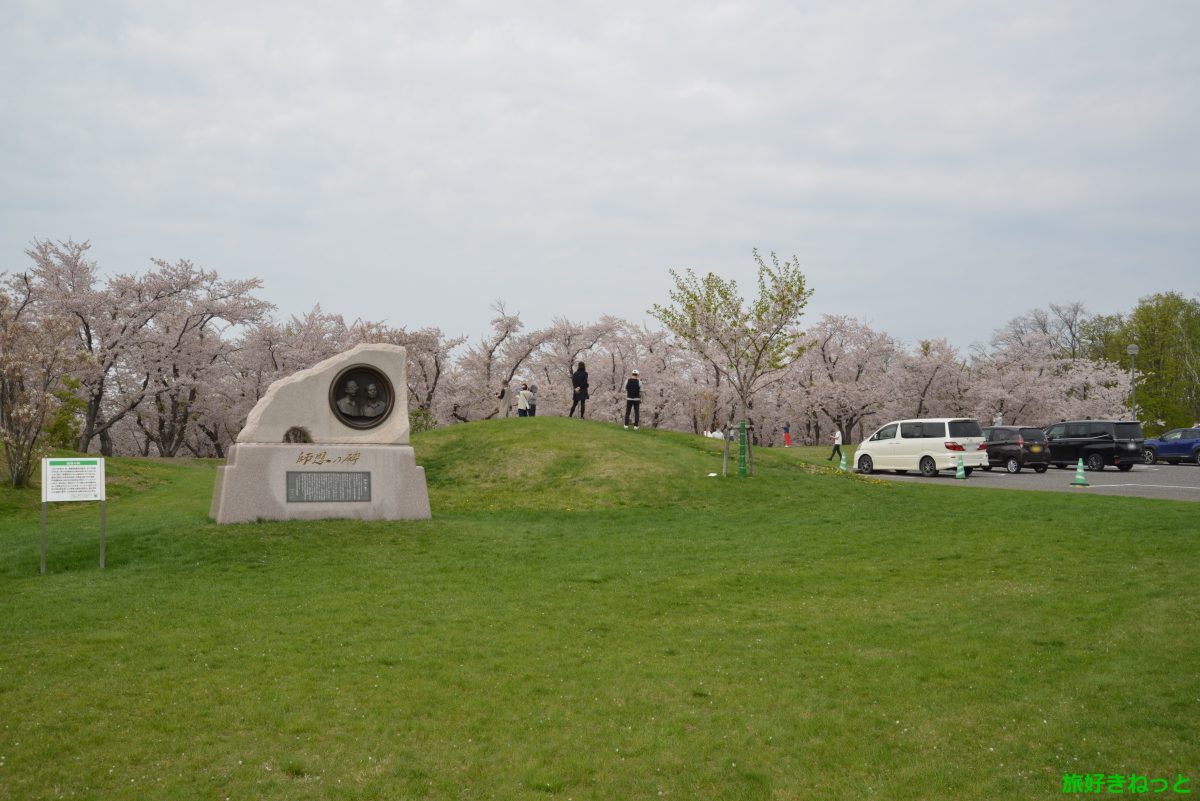 戸田記念墓地公園の桜見頃時期と園内の桜スポット | 旅好きねっと|なまら北海道野郎